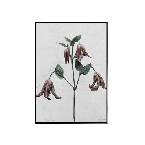 Vee Speers - BOTANICA 방울꽃 (Clematis Integrifolia)